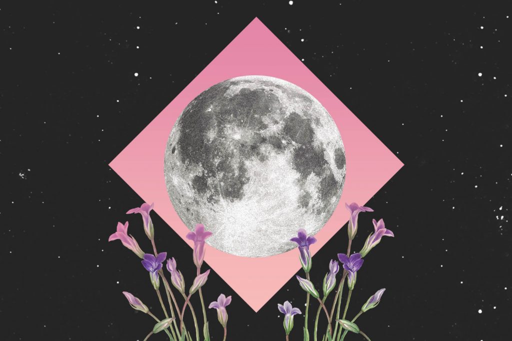 April-to-the-Pink Moon