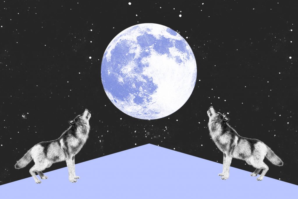 january the wolf's moon