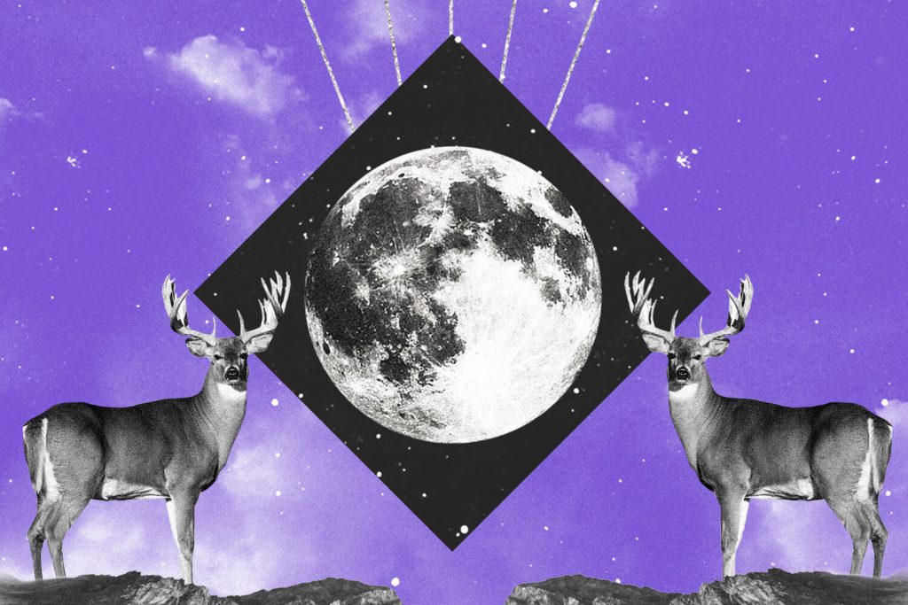 july-the-deer-moon