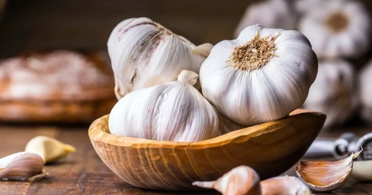 Garlic Sympathy: A Guide to Repelling Negativity and Attracting Love