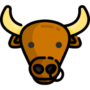 bull characteristics